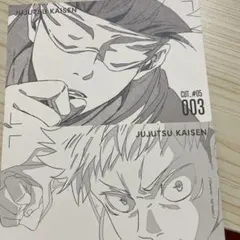 五条悟 虎杖悠仁 ポストカード TSUTAYA 2枚セット 原画