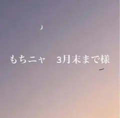 もちニャ　3月末まで様 専用ページ