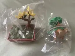 ぽけっとBONSAI3 ドダイドス
