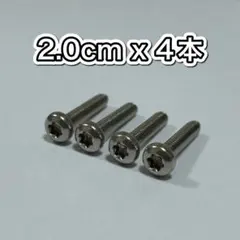 【新品】2.0cm x 4本 RIMOWAマルチホイール用ネジのサムネイル
