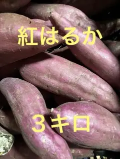 紅はるか　さつまいも