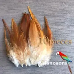 【W66プレーン】10枚　高品質　羽根 フェザー ハンドメイド アクセサリー