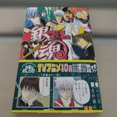 銀魂　3年Z組銀八先生　文庫