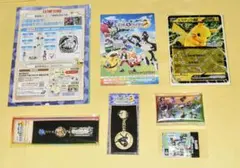 ポケモンメガスタンプラリー2025　全駅押印済スタンプ帳　フルコンプリートセット