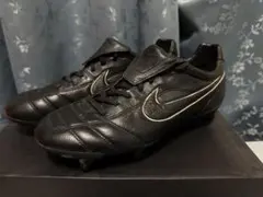 Item thumbnail for item 90313b24-8279-4437-a58f-400fe178f830