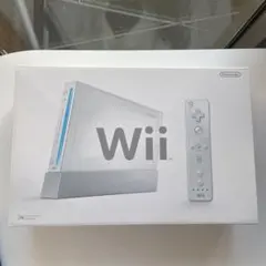 Nintendo Wii RVL-S-WA