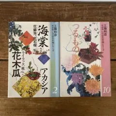 Item thumbnail for item feeb6ba0-5855-4c1e-927d-e2ae1b7fe466