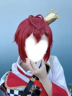 ツイステ リドル コスプレ ウィッグ Dハロのサムネイル