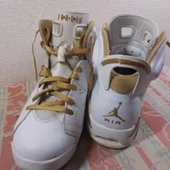 27.5㎝ AJ 6 レトロ ゴールドメダルパック 観賞用 ジャンク