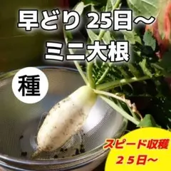 みっくさん様 リクエスト 3点 まとめ商品