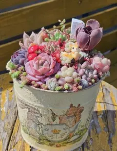 多肉植物　寄せ植え　そのまま飾れる