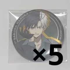 WIND BREAKER 桜 缶バッジ