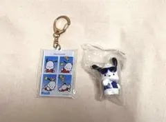 ◯トレーディング証明写真風キーホルダー ◯はぴたんぶいグラサンばちばちフィギュア