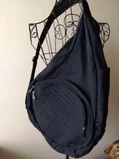 1度使用　HEALTHY BACK BAG ヘルシーバッグバッグ　Lのサムネイル