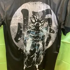 Item thumbnail for item b2475d36-0482-4b61-bdad-4024cd3cda04