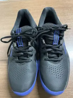 Item thumbnail for item 66fe0d9f-4041-4d03-9316-ddd8f0139534