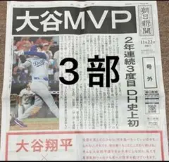 大谷翔平 2024年11月岩手日報 号外 - メルカリ