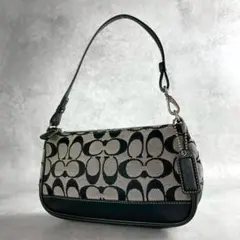 ✨美品✨コーチ　アクセサリーポーチ　ワンショルダーバッグ　シグネチャー　ブラック