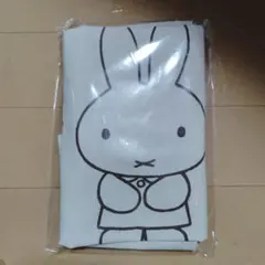 Item thumbnail for item 5dc8df67-0d5d-456f-8d6c-fb4b0d312d47