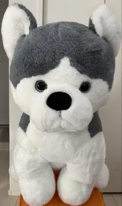 Item thumbnail for item 7ecb5a09-1261-4c9a-825c-ab9c0cbb868f