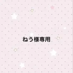 専用ページ