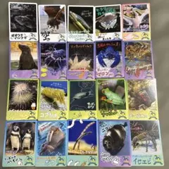 福音黒猫　　プロフご一読ください♪様 リクエスト 2点 まとめ商品