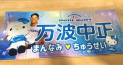 2026年最新】ファイターズ キティ タオルの人気アイテム - メルカリ