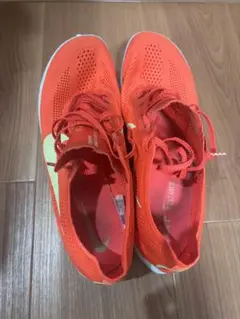 ナイキ ドラゴンフライ2 27.0 NIKE Dragon Fly 2のサムネイル