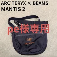 2025年最新】マンティス2 ビームスの人気アイテム - メルカリ