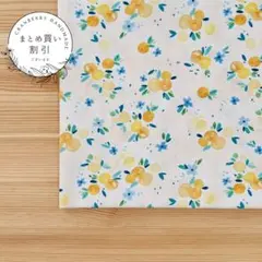 cashi様 リクエスト 2点 まとめ商品