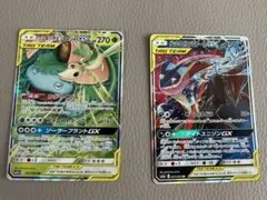 フシギバナ＆ツタージャGX RR　ゲッコウガ＆ゾロアークGX RR 2枚セット