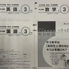 2026年最新】学力推移調査 中2の人気アイテム - メルカリ