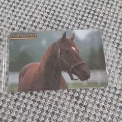 まねき馬倶楽部 No.528 フォーティナイナー 競馬カード 未開封