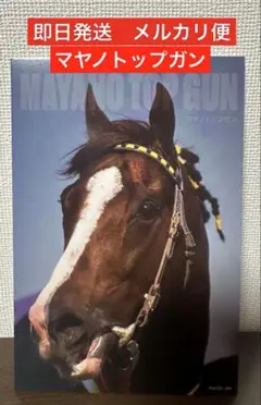 マヤノトップガン