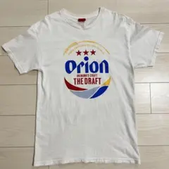 Item thumbnail for item c4100e3f-c610-4efa-829a-8490b59eb473