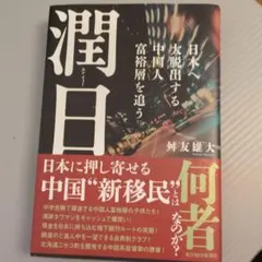 潤日(ルンリィー) : 日本へ大脱出する中国人富裕層を追う