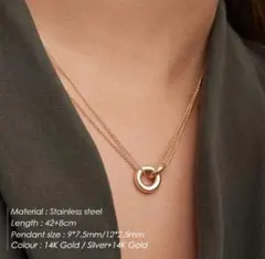 ネックレス サージカルステンレス リングサークル 【爆売れ】 ゴールドシルバー