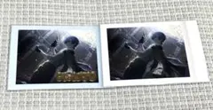 【箔あり】プロセカ ぱしゃこれKAITO
