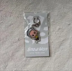 すのチル 岩本照 アクリルキーホルダー 新品