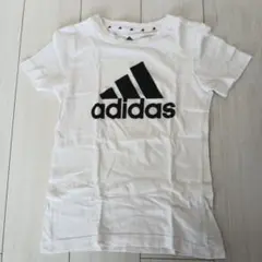 Item thumbnail for item 479b6742-4f67-4113-a2b7-e2a24d3d4071