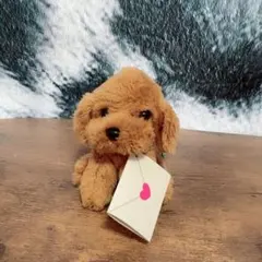 手紙　トイプー　トイプードル　犬 ぬいぐるみ マスコット ブラウン キーホルダー