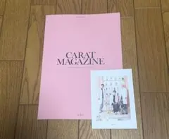 SEVENTEEN セブチ　FC会報 vol.14 ポストカード(95's)付き