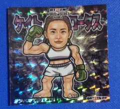 2025年最新】ケイト・ロータスの人気アイテム - メルカリ