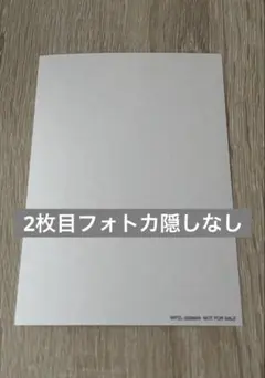 うらたぬき TABOO TA13OO アニメイト特典 缶バッジ 実写 1点 - メルカリ