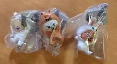 skzoo つまんでつなげてますこっとvol2