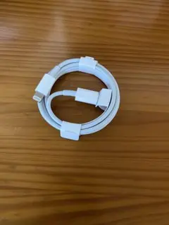 iPhone付属品 充電器 純正 タイプCライトニングケーブル Apple正規品