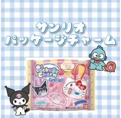 サンリオ パッケージチャーム 2個セット