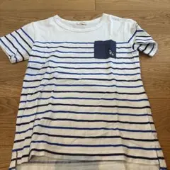 ストライプ Tシャツ 100cm