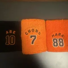 Item thumbnail for item 641954e6-1bd1-4341-a47b-30a0cfb2a8b6