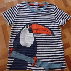PETIT BATEAU トゥーカン ボーダー Tシャツ 6ans/116cmのサムネイル